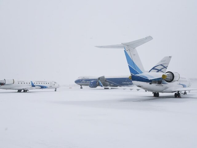    Фото: Москва 24/Никита Симонов