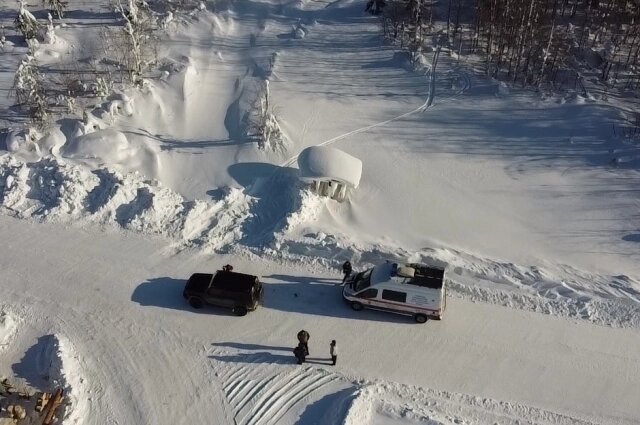    Фото: Лиза Алерт
