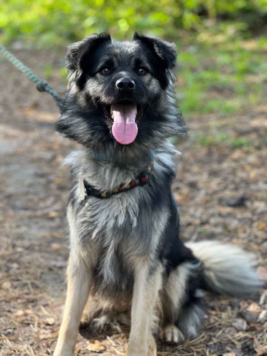 А теперь все дружно читаем про меня!