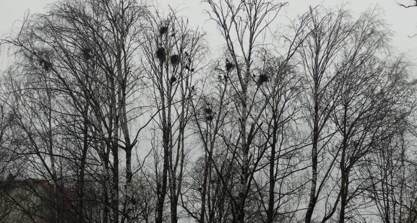    Фото из архива «Pro Города»