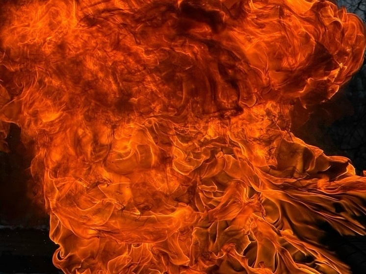   Екатерина Царёва