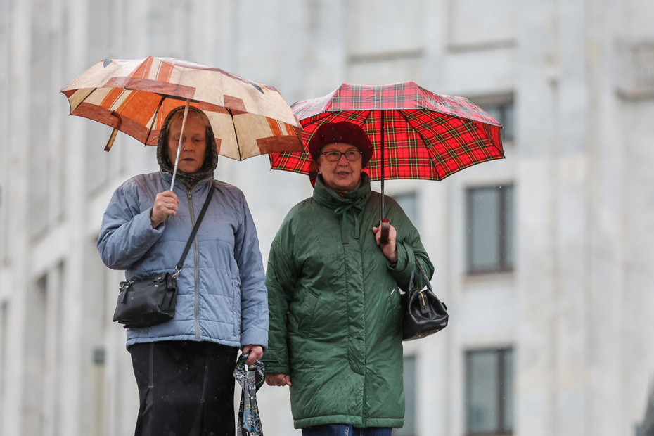    Алексей Белкин/NEWS.ru