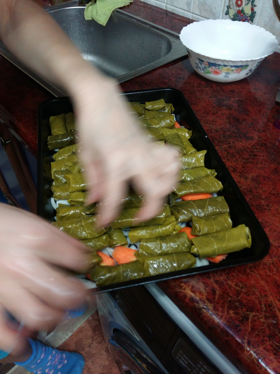 Нижний слой лук полукольцами /личный архив автора/