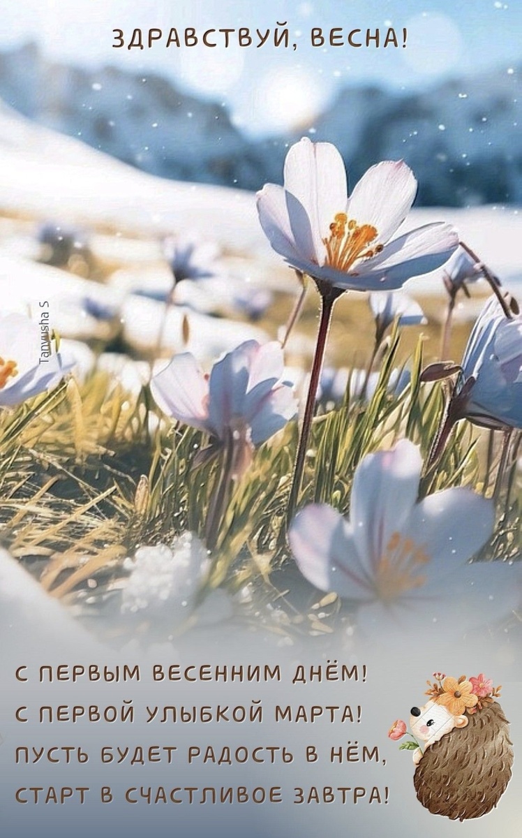 Личное фото автора канала