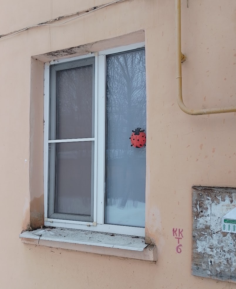 Фото автора.