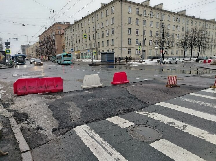     Фото: предоставил читатель "МК в Питере".