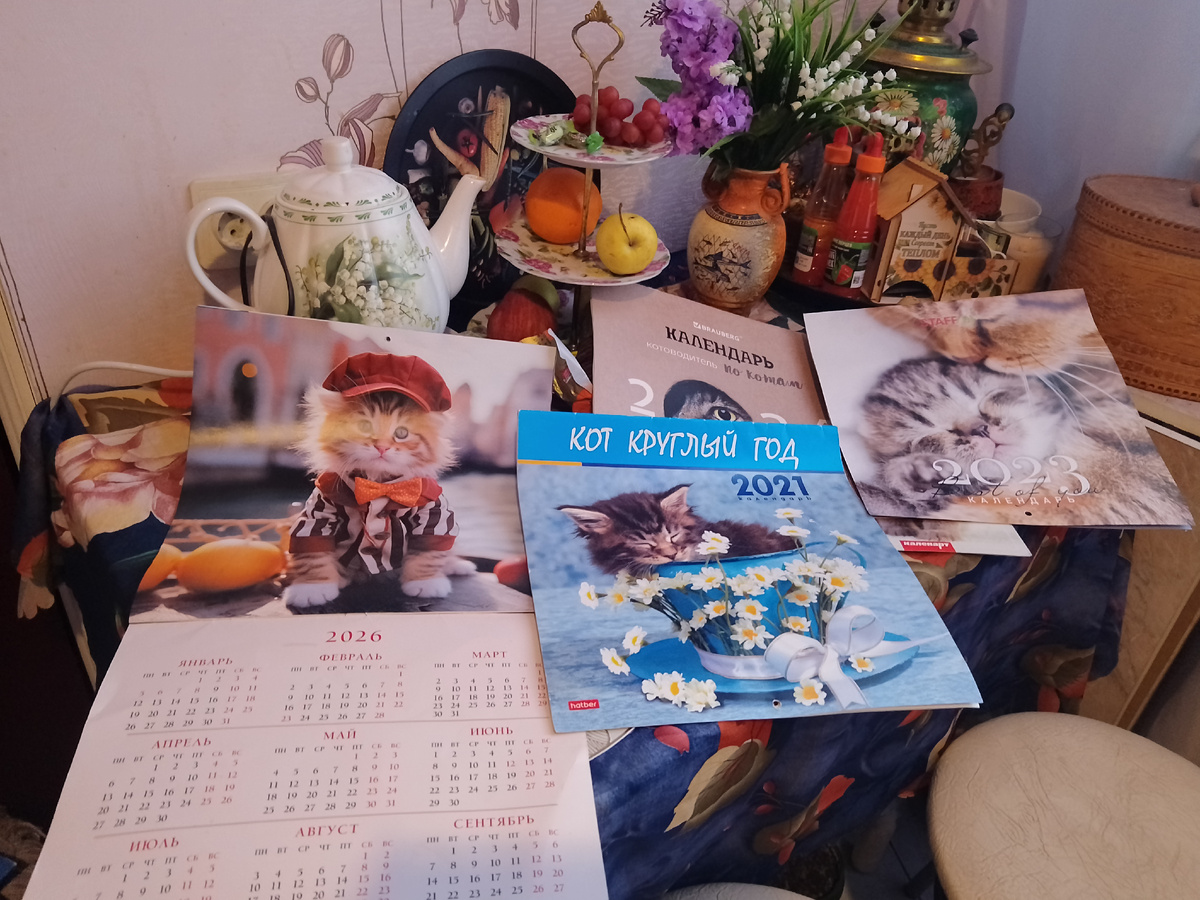 Фото автора, мои календари с кошками