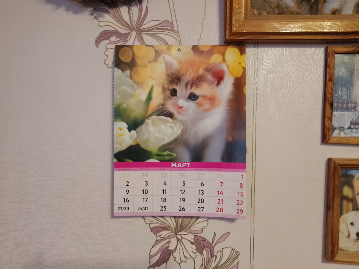 Фото автора, календарь на 2026 год