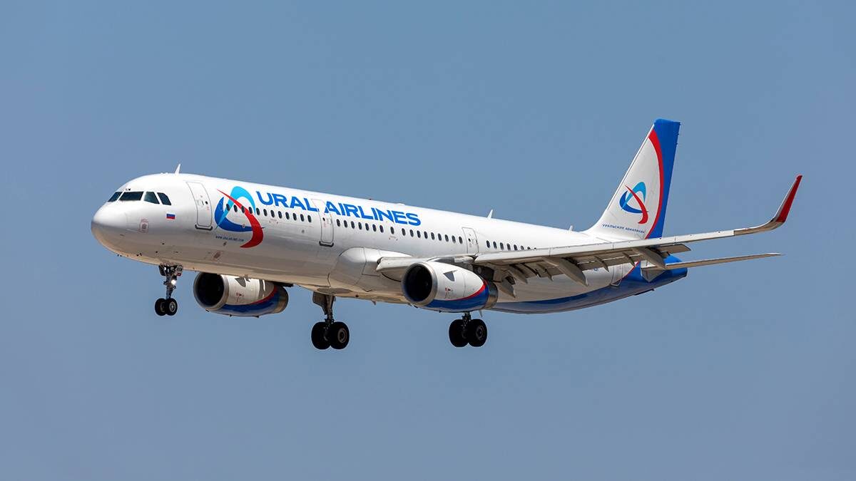    Фото: Shutterstock