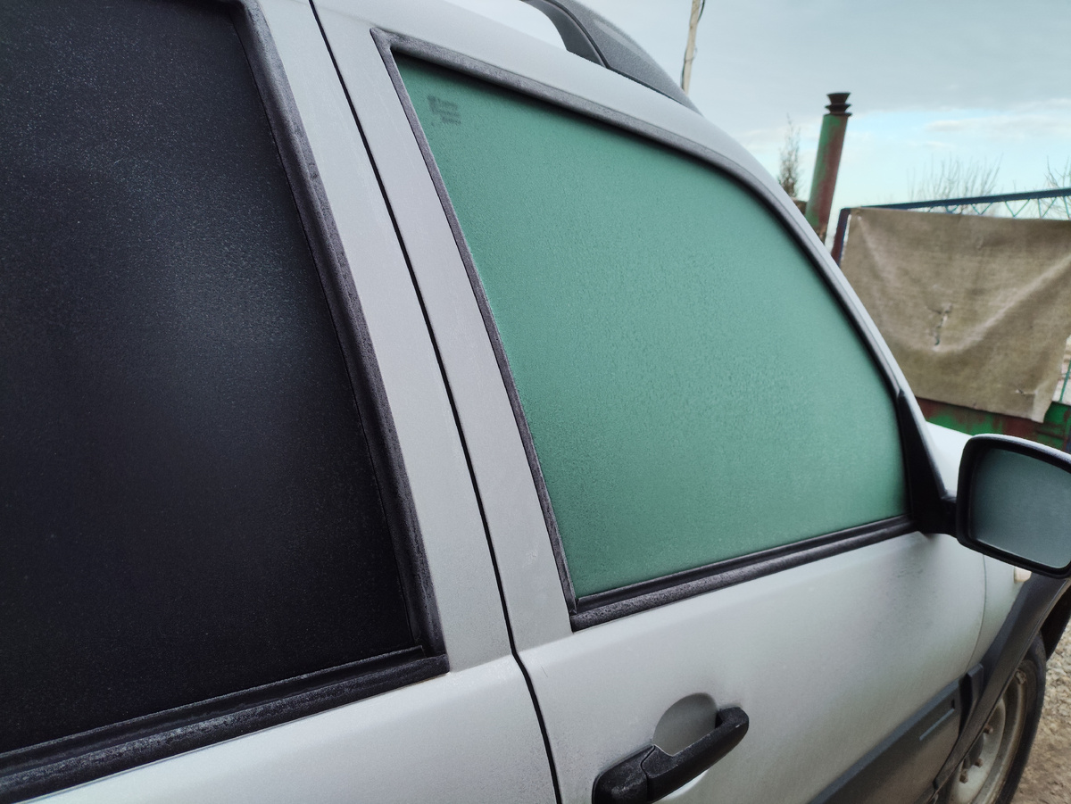 Заиндевевшая ласточка