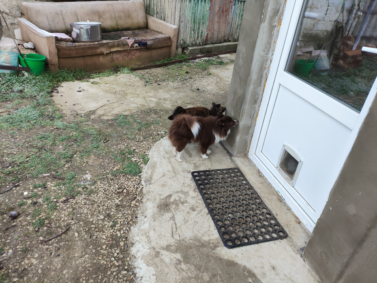 Это я пошла живность домой зазывать. Опасность миновала, даже полы высохли.