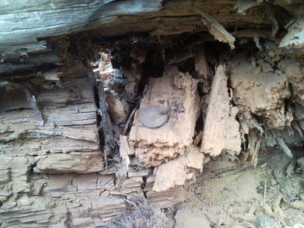 Изображение взято с сайта http://clubklad.ru/blog/article/3591/