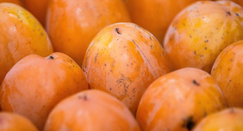    Ilya Moskovets/URA.RU / www.globallookpress.com