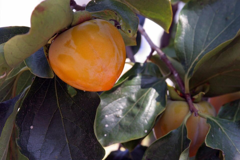    Anvar Galeev/Russian Look / www.globallookpress.com