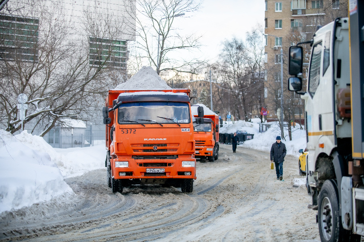    Фото: Юлия Федотова