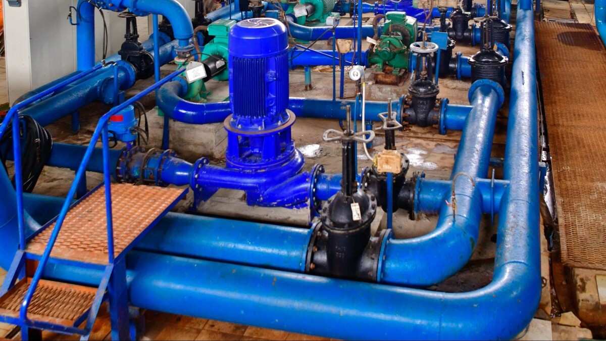    Фото: Андрей Ткачев / «Ямал-Медиа»