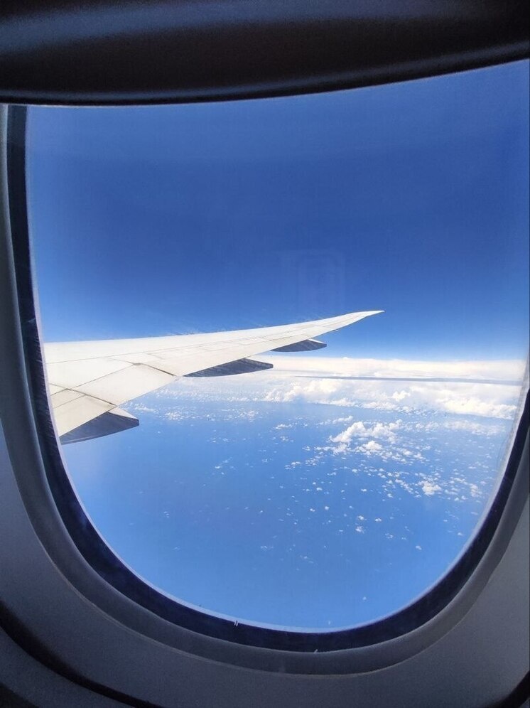   Никита Попов