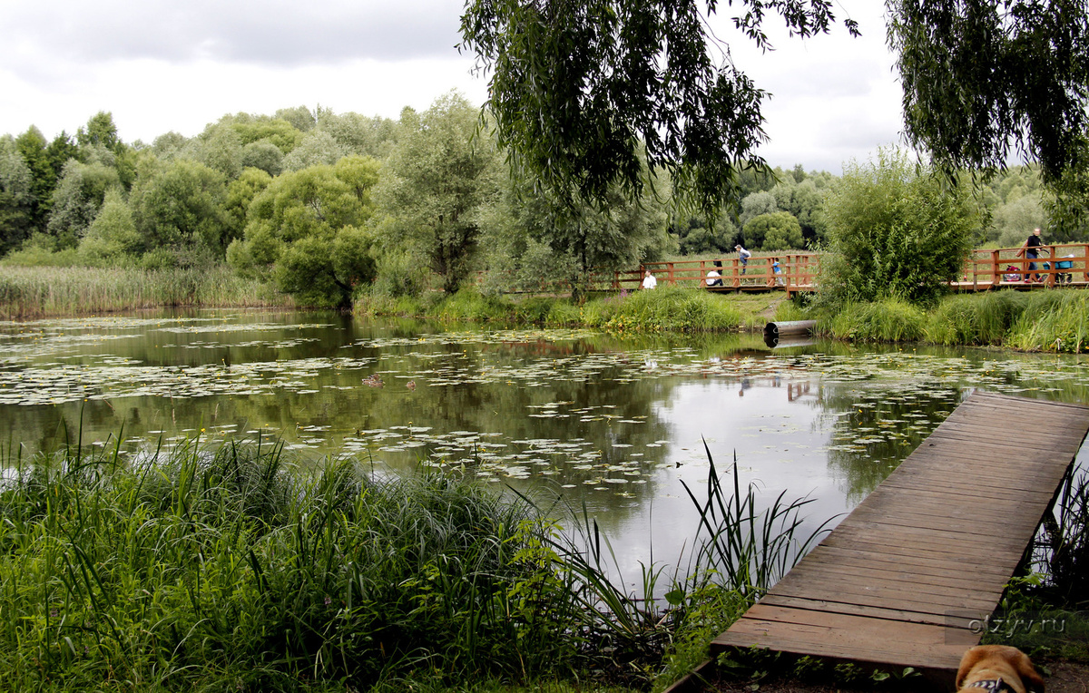 Серебряный Бор 