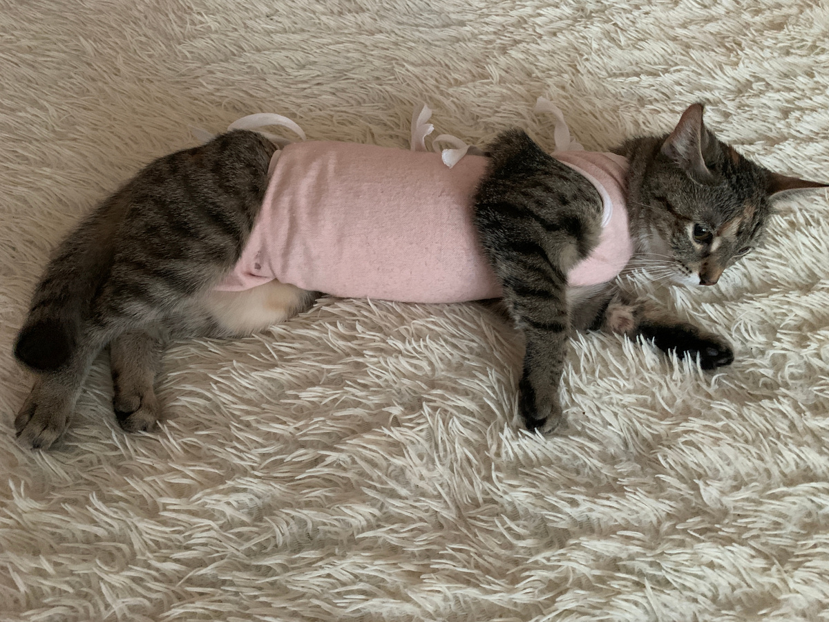 Лана после операции