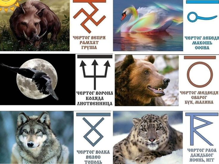Пин от пользователя satrak на доске животные гороскопа Pinterest