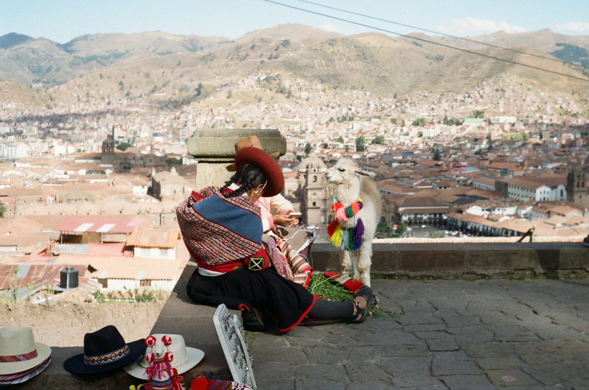Часто на улице встречаются красиво наряженные альпаки. С ними предлагают сфотографироваться за символическую плату. Фото: Ming Chen / Unsplash