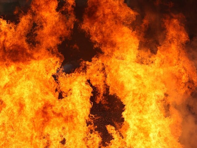    Фото: 123RF.com/albertttt