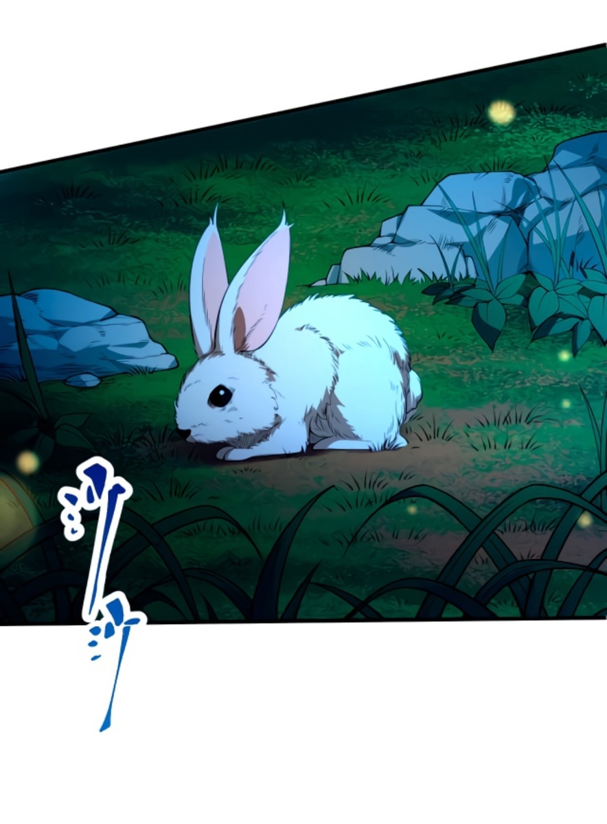 Кролик гулящий по лесу.