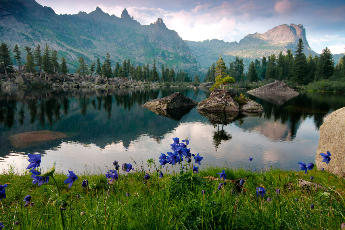 Фото: Shutterstock