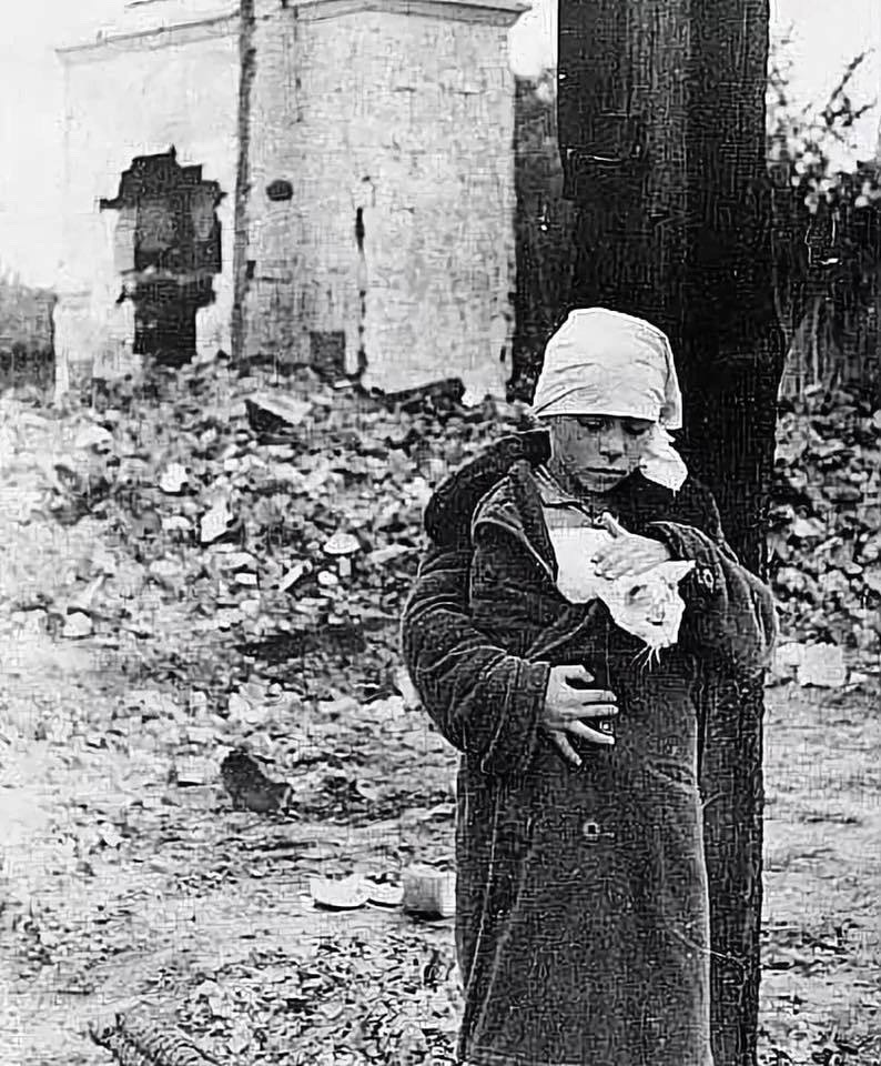 Девочка спасает кота в разрушенном Сталинграде, сентябрь 1942 год                                                        https://vk.ru/wall-214341050_97403          источник фото
