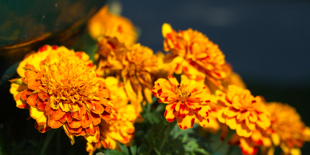 Фотоаппарат Canon 600d