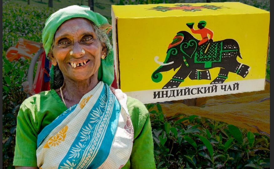 Не покупайте индийский чай, пока не прочтете это. Грязная правда!