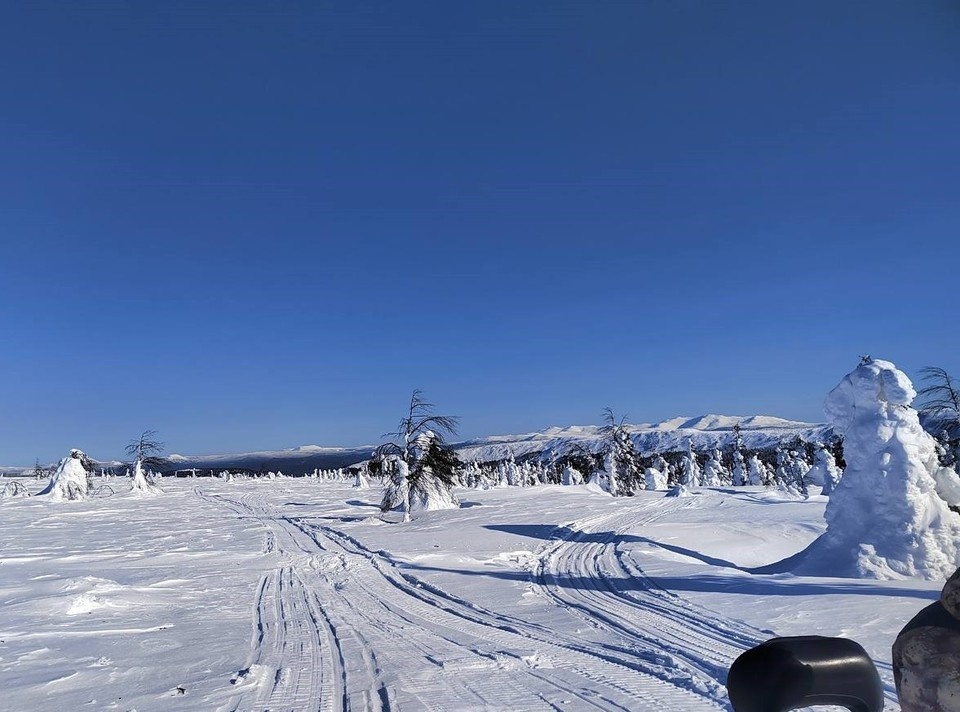    Фото: предоставлено участником поисковой операции