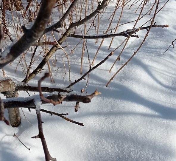 И про первые "потери" года