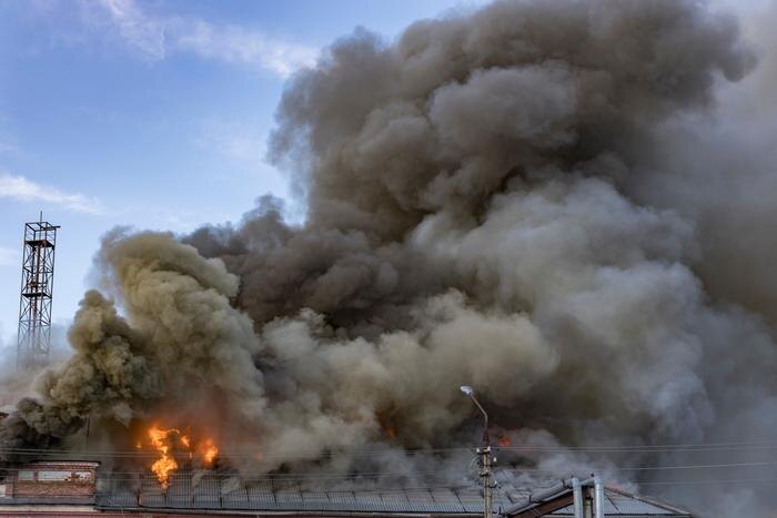 Обложка © Shutterstock / FOTODOM /ARTpok