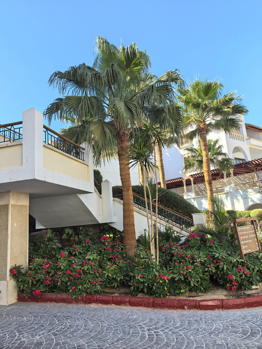 Лето вам в ленту. 🙌