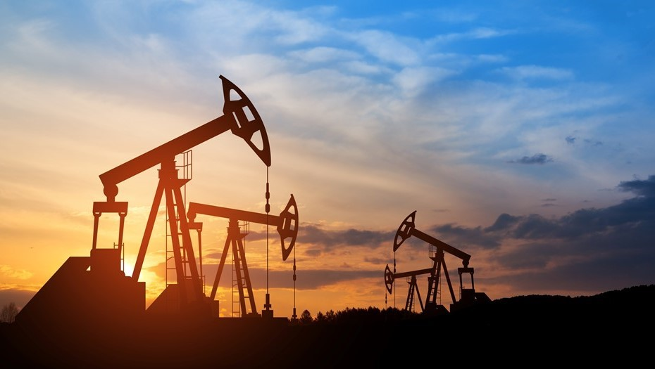 Автор фото: Hamara/Shutterstock/FOTODOM 