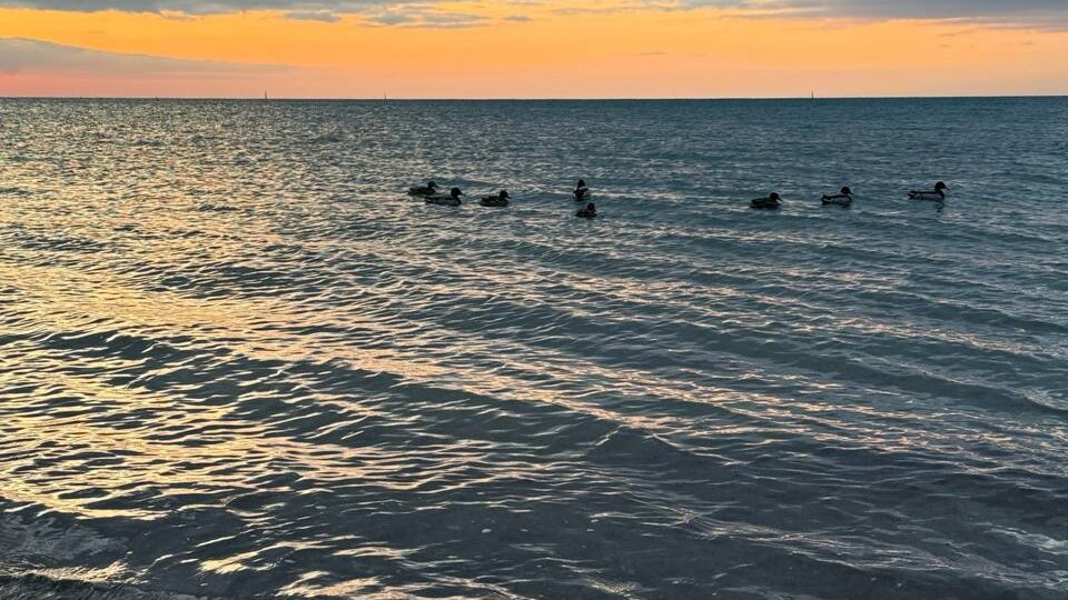 Наши морские закаты в Анапе