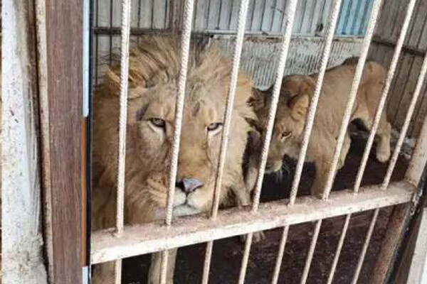 Прокуратура Москвы   📷