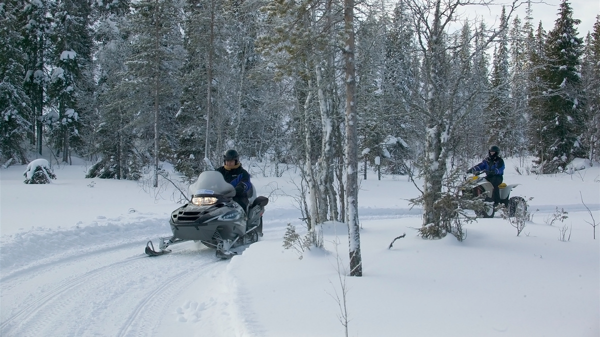    зима снегоход РЛ