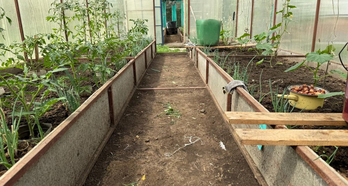    Фото: ПроГород