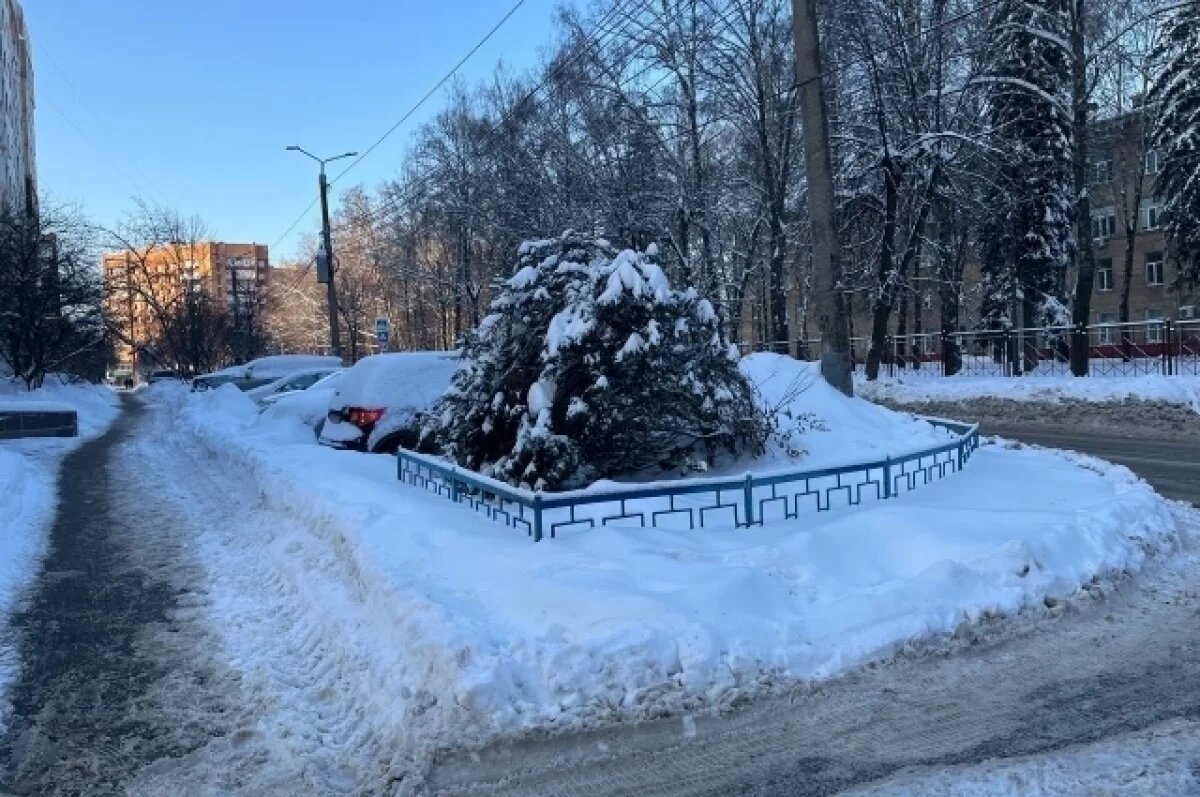    В Туле 2 марта ожидается пасмурная погода и до +2