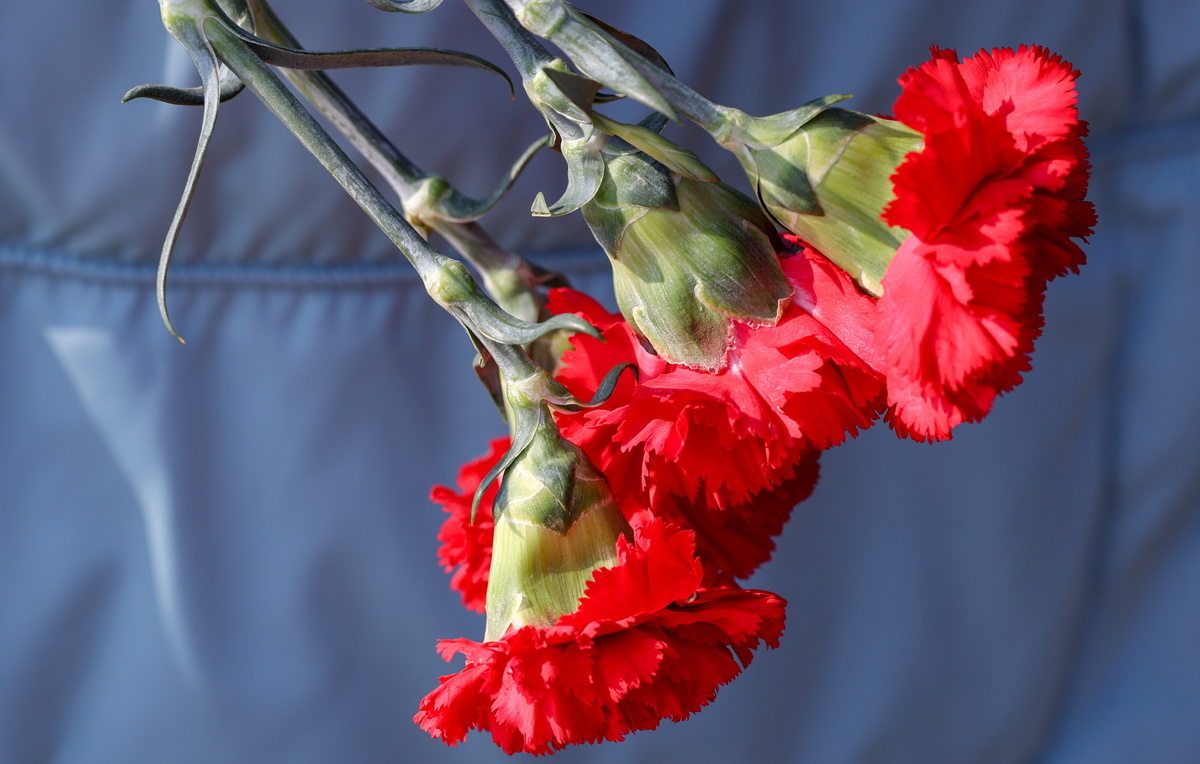 Евгений Силантьев/ТАСС