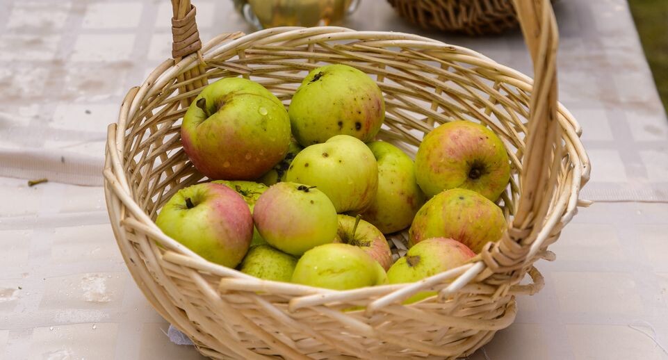    Медиасток.рф