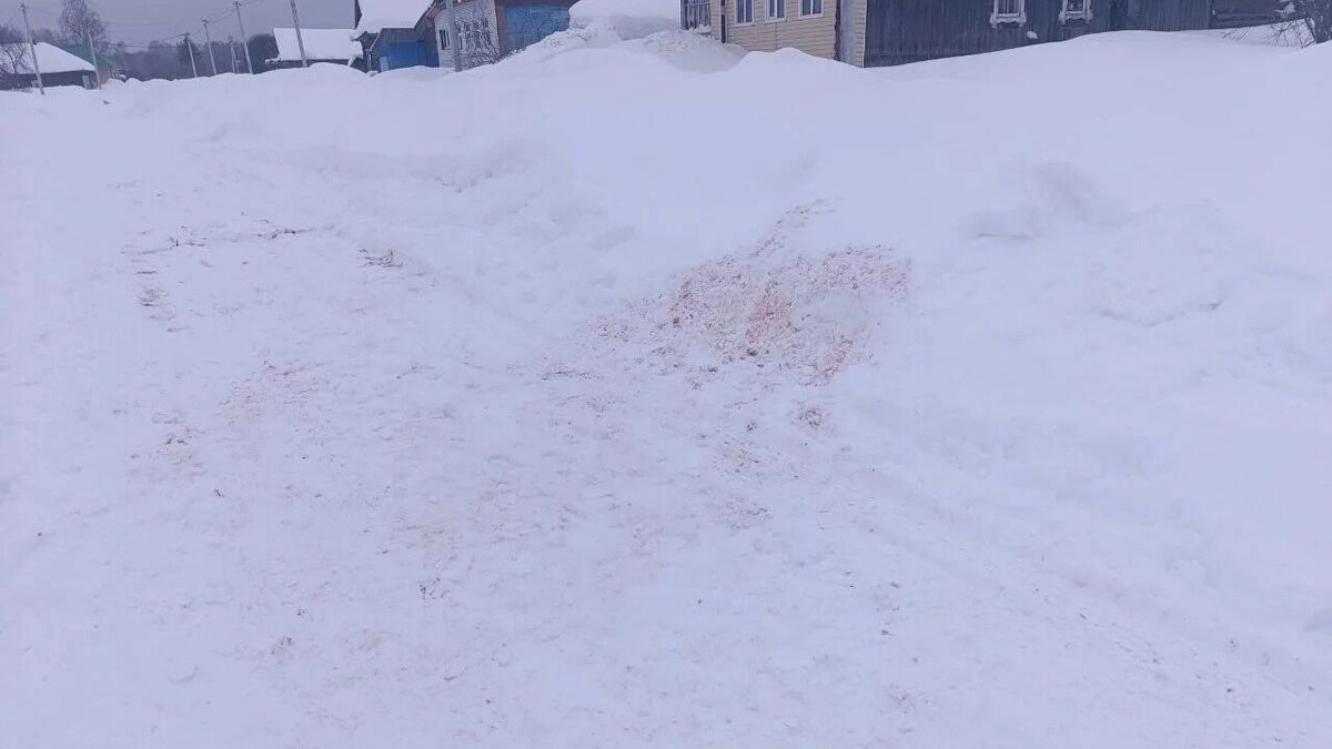   пресс-служба Госавтоинспекции по Удмуртии