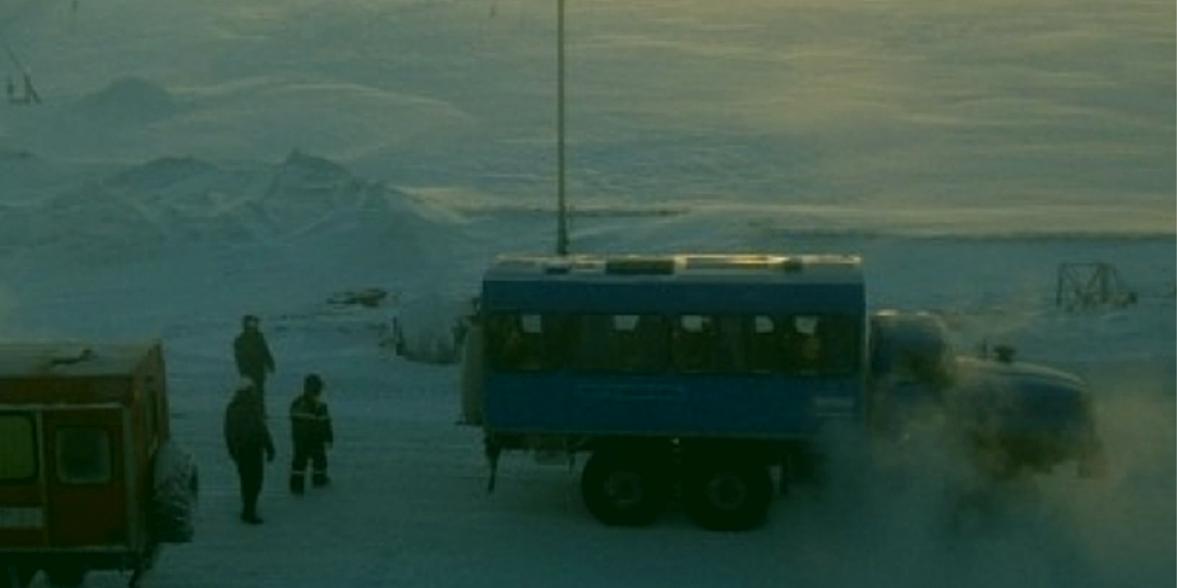 Мужчина помог собаке, а она спасла его жизнь: животное на обочине заметал снег, когда вмешалась судьба