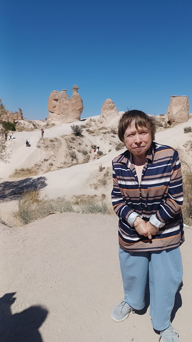 Верблюд вполне узнаваем, даже два горба просматриваются.