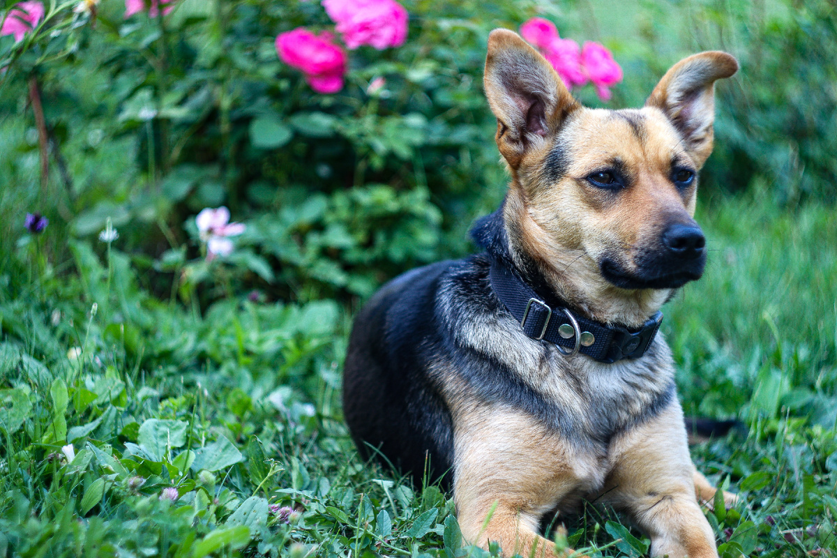 Вот эта красавица