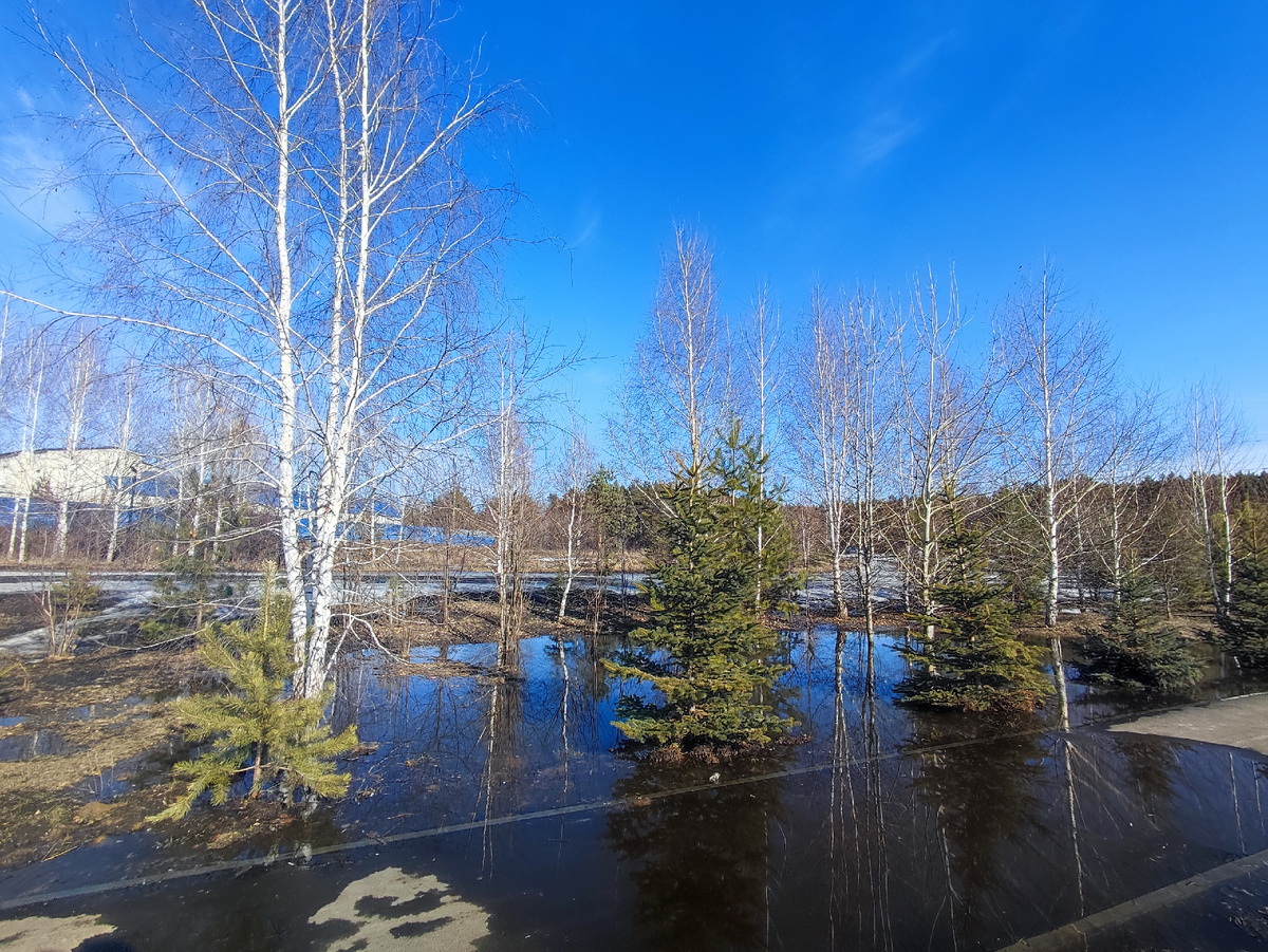 Фото автора (2025год)