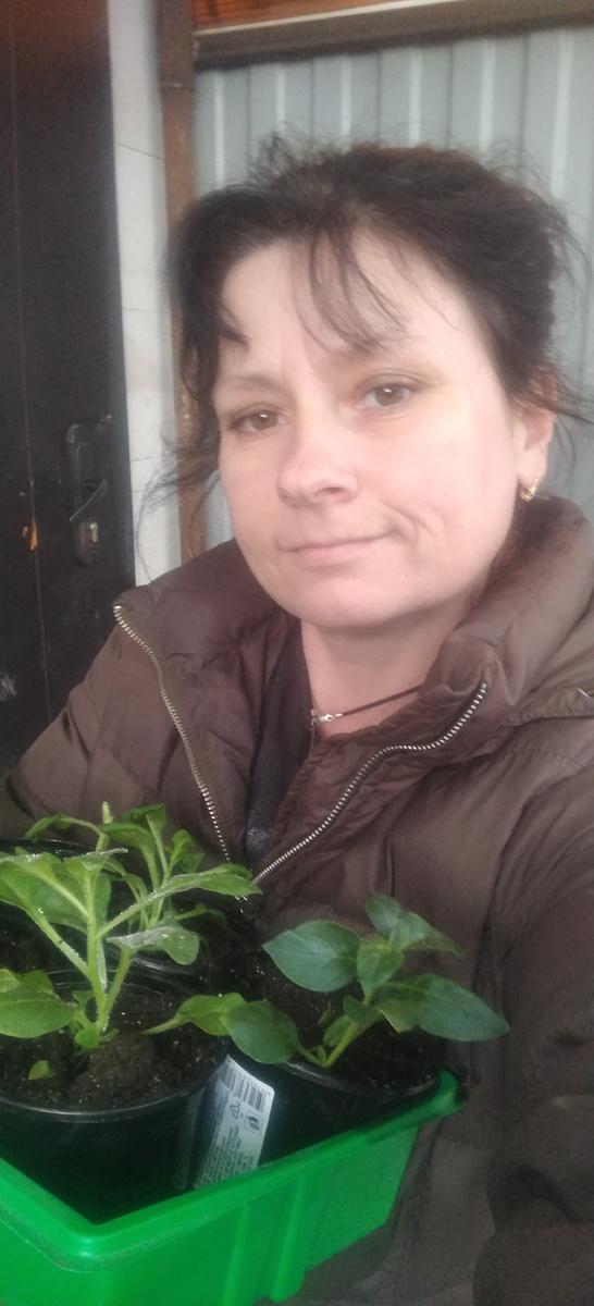 Мной выращены 🤗