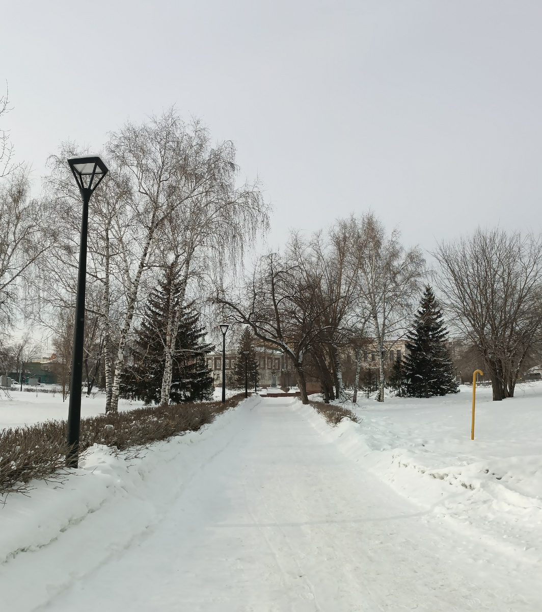 Где-то на просторах моего города. Фотография автора, 28 февраля 2026 года. 